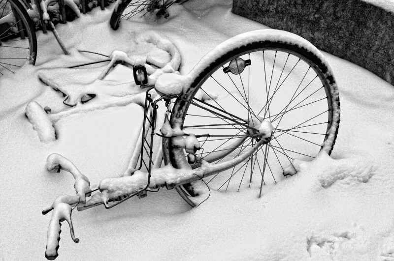 Bicicletta