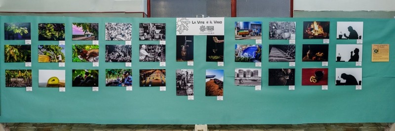 Mostra Puglia senza confini