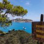 acapodiferro punta dello spido acapodiferro punta dello spido