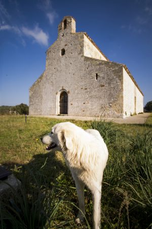 gcarozzo chiesa di monte delio