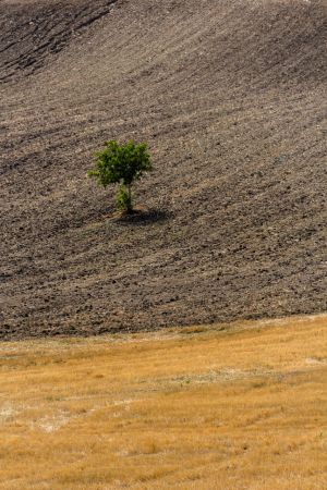 mleggieri in solitudine