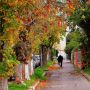 giuseppe perricone2 giuseppe perricone2