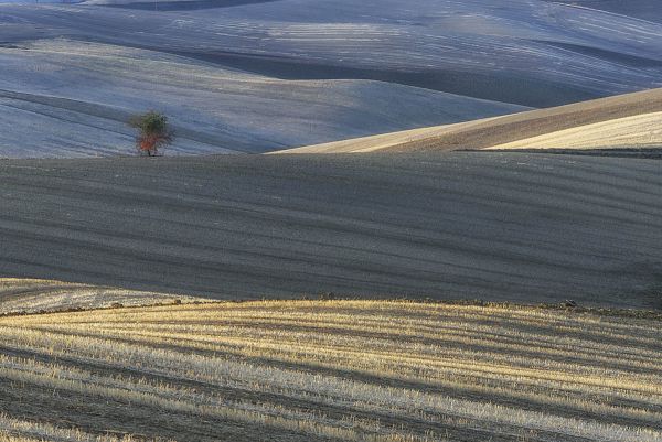 paesaggio web